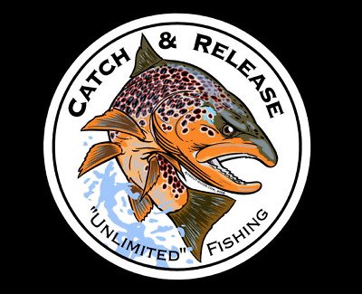 Рыболовные наклейки на ящик (50 фото)