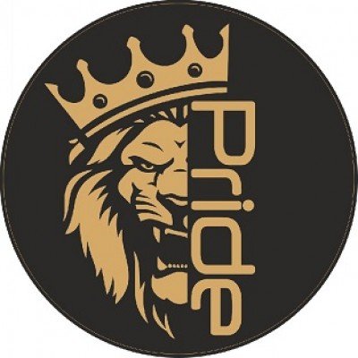 Pride car Audio Лев