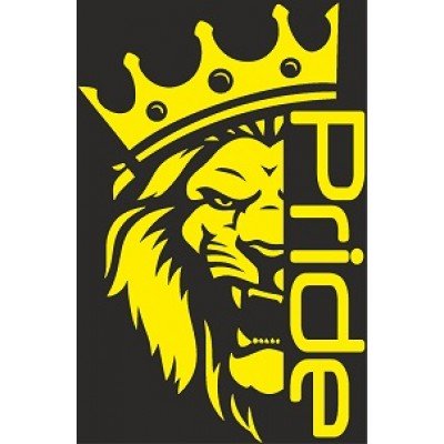 Pride car Audio наклейка