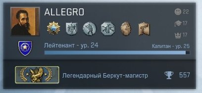 Нашивка: металлический легендарный Беркут-Магистр