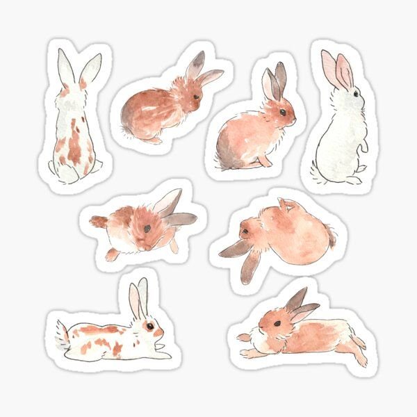 Набор наклеек кролик