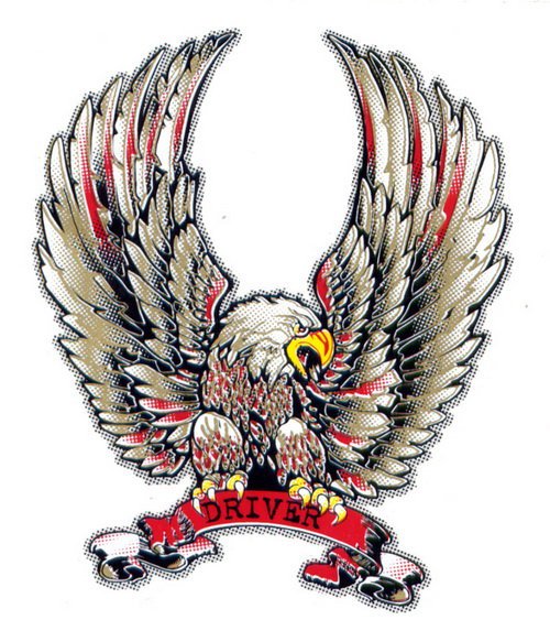 Силуэт орёл-Беркут