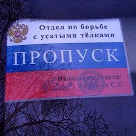 Наклейка на пропуск