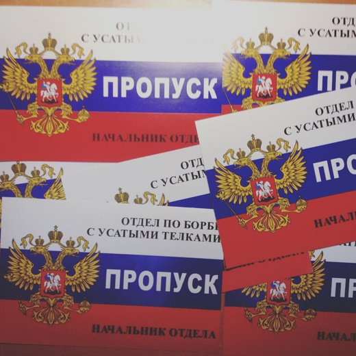 Отдел по борьбе с усатыми тёлками наклейка