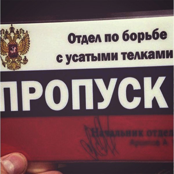 Отдел по борьбе с Covid 19 машина