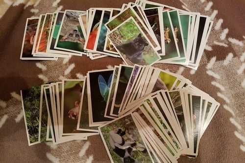 Журналы наклейки Карусель