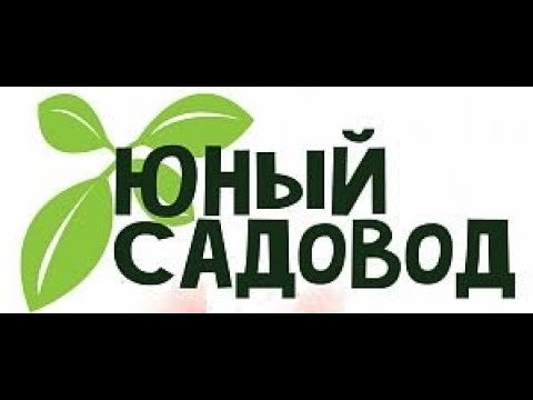 Садовод рынок