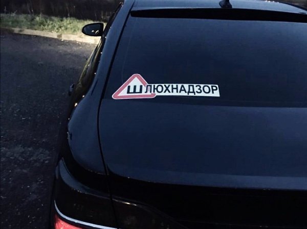 Машина ШКУРНАДЗОР