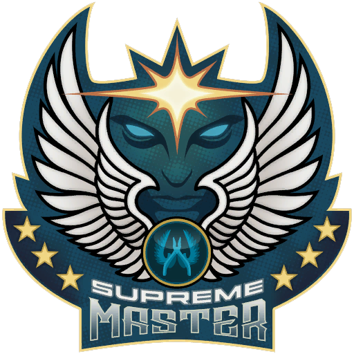 Великий Магистр высшего ранга наклейка