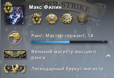 Звание легендарный Беркут в КС го