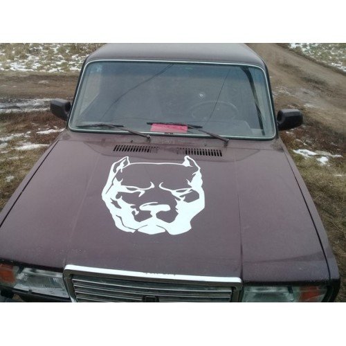 ВАЗ 2107 питбуль