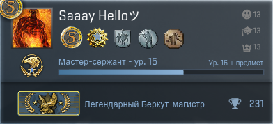 Звания в КС го