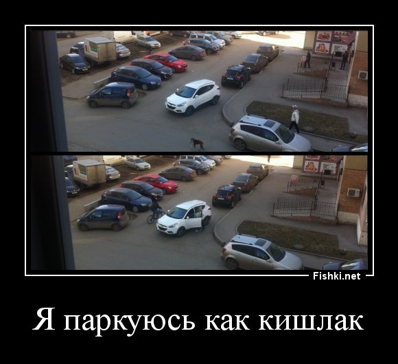 Я паркуюсь как Рыбак