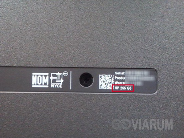 Наклейка на hp ноутбук (47 фото)
