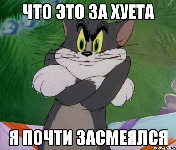 Кот почти засмеялся