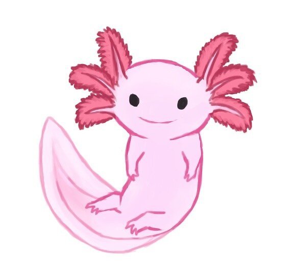 Стикеры аксолотль