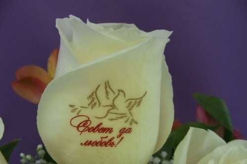 Надписи на цветах