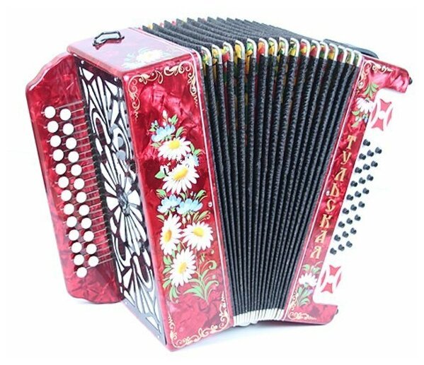 Тульская гармонь 301м