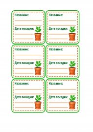 Ценники на овощи