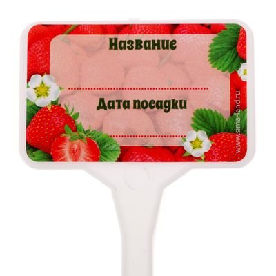 Таблички для рассады