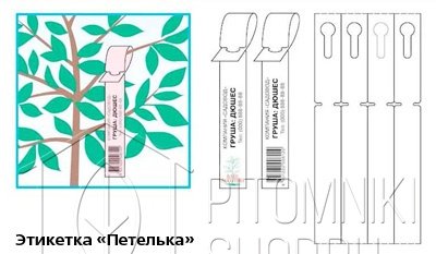 Этикетки для огорода