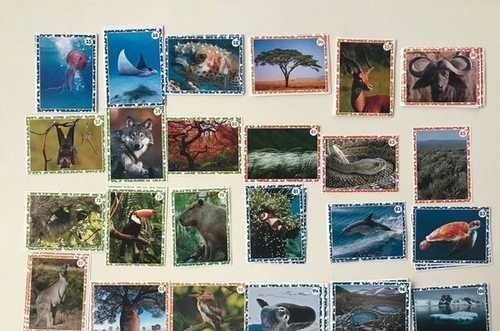 Символ Финляндии Лось