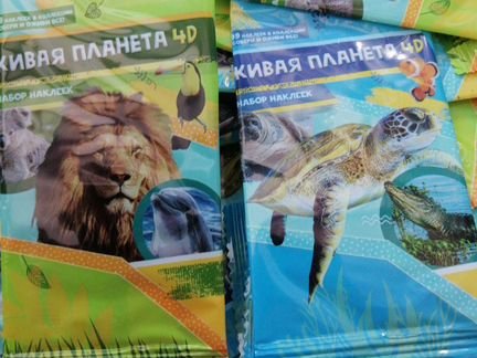 Живая Планета 4d книга
