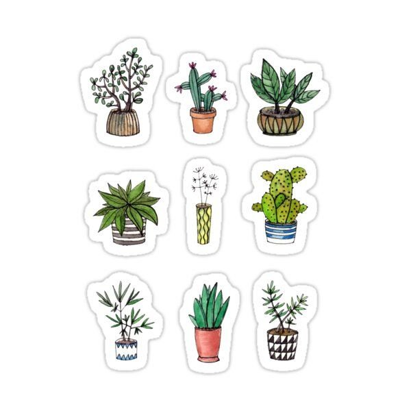 Стикеры Суккуленты