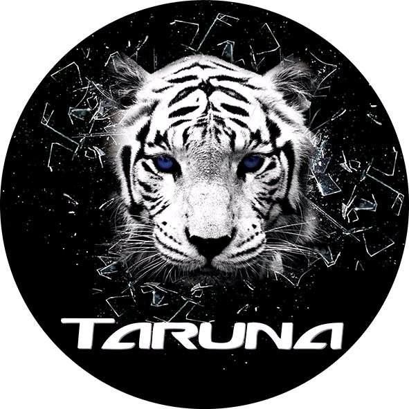 3d наклейки на телефон macan (46 фото)