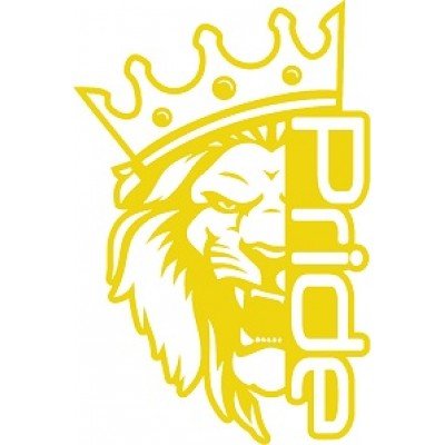 Наклейка Pride Лев 70x49