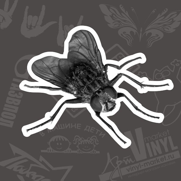 Наклейка в унитаз мишень