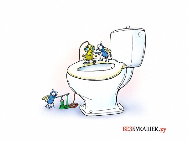 Наклейка Муха на стекле