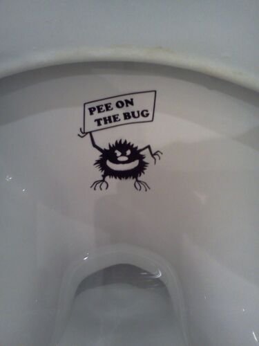 Муха на унитазе