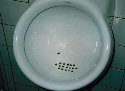 Писсуар с мухой