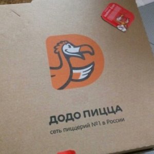 Фирменный стиль Додо