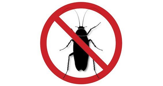 Знак таракан