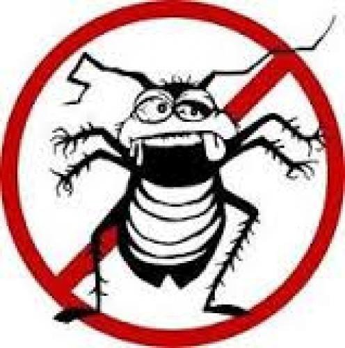 Уничтожение клопов и тараканов