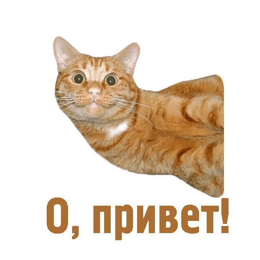 Стикер привет
