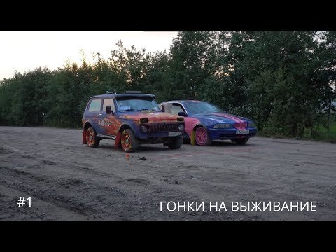 Нива Булкина