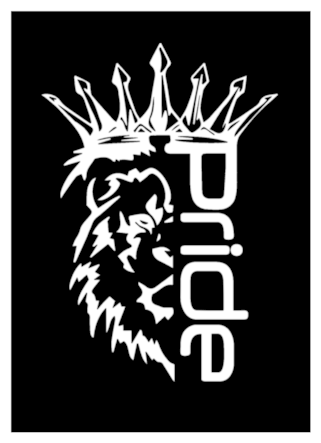 Pride car Audio наклейка