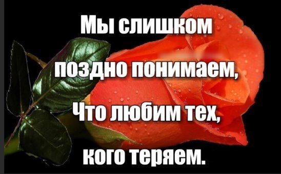 Мы поздно понимаем когда теряем