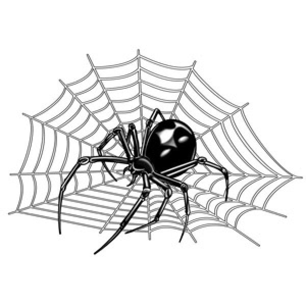 Наклейка паук на паутине