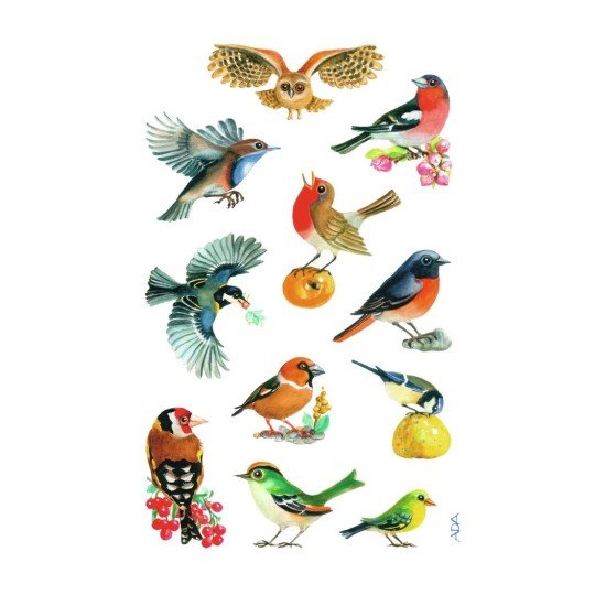Птицы (с наклейками)