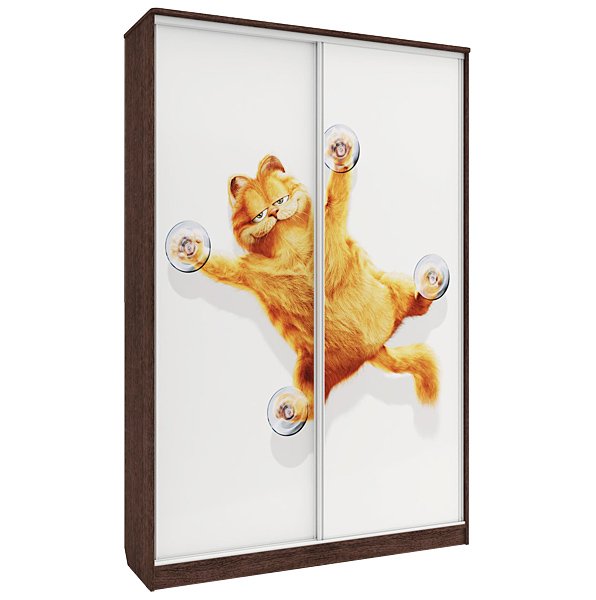 Шкафы-купе с фотопечатью на стекле