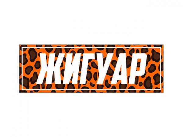 Прикольные надписи на ЖИГУ