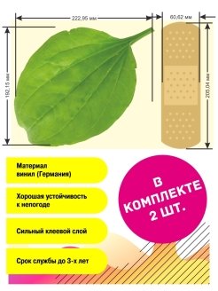 Подорожник чб