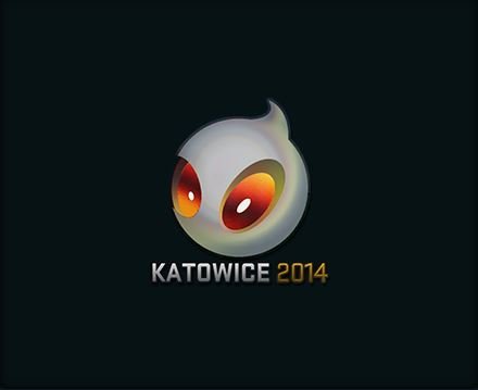Team dignitas Katowice 2014