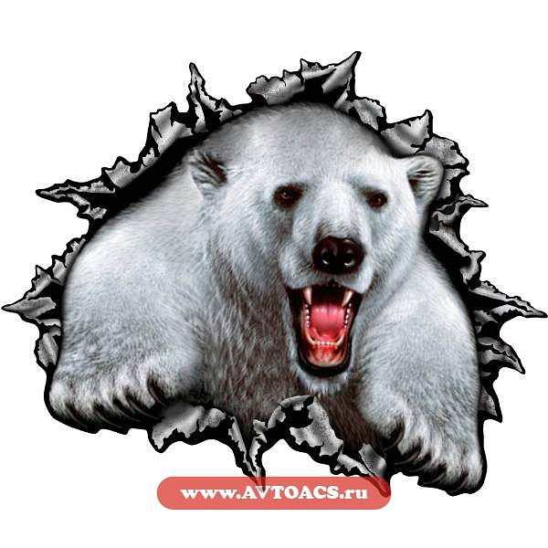 Наклейка белый медведь