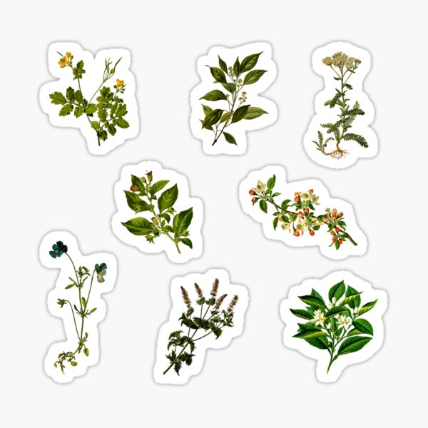 Goblincore Стикеры