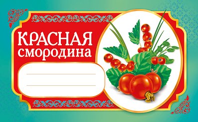 Вино этикетка